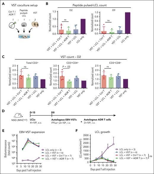 OX40.ADR T cells preserve cytotoxic antiviral T-cell immunity. (A) Schematic of model setup for panels B-C. Ctrl or OX40.ADR T cells were cocultured with autologous peptide pulsed-lymphoblastoid cell lines (LCLs) (EBV-immortalized lymphoblastoid cell lines pulsed with a mix of EBV, CMV, and AdV peptides) and autologous VSTs. (B) Relative counts of residual peptide pulsed-LCL for specified conditions on day 2 (left) and day 9 (right) post coculture. Counts were normalized to LCL-only conditions. (C) Relative counts of residual VSTs for specified conditions on day 2 post coculture. Counts were normalized to VST-only conditions. In panels B-C, mean ± SD values are shown. Each dot represents data from an individual donor. P values were calculated using 1-way ANOVA followed with Sidak correction. (D) Schematic of model setup for panels E-F. (E) Change of EBV-VST bioluminescence signals overtime. (F) Change of LCL tumor volumes overtime. P value was calculated using 2-way ANOVA followed with Tukey correction. Statistical difference on day 28 is shown. In panels E-F, mean ± SD values are shown. Not significant (ns), P ≥ .05. Ctrl, control nontransduced T cells; FFluc, firefly luciferase; i.v., intravenous injection; s.c., subcutaneous injection.