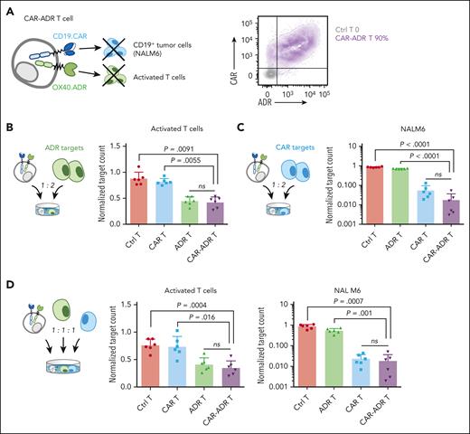 CAR-ADR T cells effectively eliminate both activated T cells and tumor cells. (A) Schematic of a CAR-ADR T cell (left) and a representative flow plot showing expression of both receptors on primary human T cells (right). (B) Effector T cells and autologous activated T cell targets were cocultured at a 1:2 ratio. Residual target counts (normalized to target-only condition) at 24 hours post coculture are shown. (C) Effector T cells and NALM6 tumor targets were cocultured at a 1:2 ratio. Residual target counts (normalized to target-only condition) at 24 hours post coculture are shown. (D) Effector T cells, autologous activated T cells, and NALM6 were cocultured at a 1:1:1 ratio. Residual target counts (normalized to target-only condition) at 24 hours post coculture are shown. In panels B-D, mean ± SD values are shown. Each dot represents data from an individual donor. P values were calculated using 1-way ANOVA followed with Tukey correction.