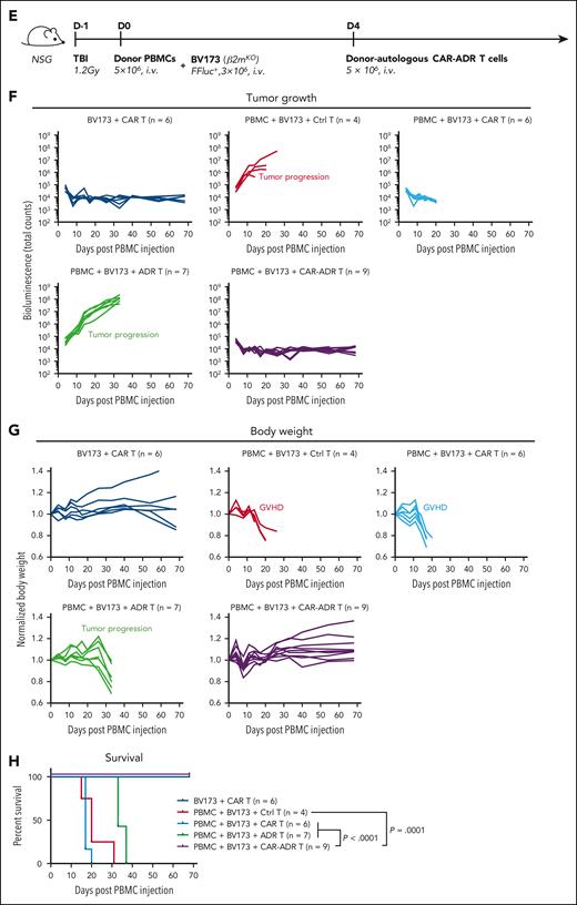 CAR-ADR T cells protect from xenogeneic GVHD and prevent leukemia progression in vivo. (A) Schematic of the model setup for panels B-D (NALM6). (B) Tumor luminescence at specified time points. Each line represents data from an individual animal. (C) Animal body weight (normalized to weight on day 0 of the same animal) at specified time points. Each line represents data from an individual animal. In panels B-C, causes of death are indicated for each respective experimental group. (D) Animal survival over time. P values were calculated using log-rank test. (E) Schematic of the model setup for panels F-H (BV173). (F) Tumor luminescence at specified time points. Each line represents data from an individual animal. (G) Animal body weight (normalized to weight on day 0 of the same animal) at specified time points. Each line represents data from an individual animal. In panels F-G, causes of death are indicated for each respective experimental group. (H) Animal survival over time. P values were calculated using log-rank test.