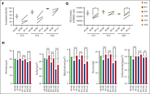 Efficient reversion of the IVS1-110 (G>A) mutation in BT HSPCs corrects ineffective erythropoiesis. (A-C) Frequency of CD36+ (A), CD71+ (B), and GPA+ (C) cells at days 13, 16, and 20 of erythroid differentiation, as measured by flow cytometry analysis. Control BT or HD cells were either electroporated with TE buffer (TE), or only with SpRY-ABE8e mRNA (BE). Data are expressed as mean ± SEM (3 patients with BT and 3 HDs). ∗P ≤ .05; ∗∗P ≤ .01 (paired t test; BT-BE vs BT-cor). (D) Mean Fluorescence Intensity (MFI) in ROS-containing cells (DCFDA+) for control and edited (cor) BT samples. For the control, we pooled data obtained in RBCs derived from BT HSPCs electroporated with TE or with SpRY-ABE8e mRNA only (3 patients with BT). ∗P ≤ .05 (paired t test). (E) Flow cytometry histograms showing the frequency of apoptotic cells (annexin V+ cells) in the 7AAD− cell population in unstained (Uns), BT and HD samples at day 13 of erythroid differentiation (3 patients with BT and 3 HDs). (F) Frequency of enucleated cells at days 13, 16, and 20 of erythroid differentiation, as measured by flow cytometry analysis of cells stained with the DRAQ5 nuclear dye (3 patients with BT and 3 HDs). Data for HD samples are expressed as mean ± SEM. (G) Cell size of enucleated cells at days 13, 16, and 20 of erythroid differentiation, as measured by flow cytometry analysis of the median FSC-A intensity (3 patients with BT and 3 HDs). Data for HD samples are expressed as mean ± SEM. ∗P ≤ .05; ∗∗P ≤ .01 (paired t test; BT-BE vs BT-cor). (H) Single RBC parameters (perimeter, surface, optical volume, dry mass, and surface density) evaluated by quantitative phase image microscopy in RBCs obtained from BT HSPCs (cor). As controls, we used RBCs derived from BT or HD HSPCs electroporated only with SpRY-ABE8e mRNA (BE). Data are expressed as mean ± SEM (3 patients with BT and 2 HDs). ∗∗∗∗P ≤ .0001 (Ordinary one-way ANOVA). cor, corrected; ctr, control; D, day.