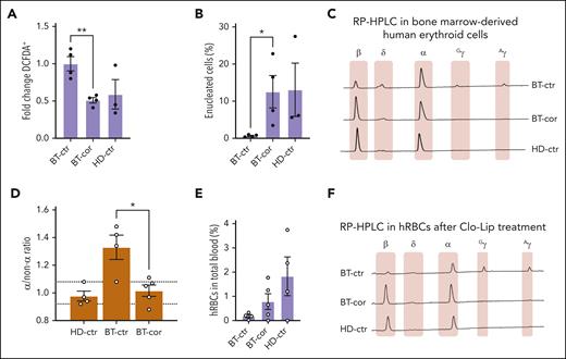 Correction of the IVS1-110 (G>A) mutation in xenotransplanted BT HSPCs rescues the ineffective erythropoiesis in vivo. (A) Frequency of ROS-containing (DCFDA+) human GPA+ erythroid cells derived from the bone marrow of mice transplanted with HD or BT control (HD-ctr; BT-ctr) or corrected (BT-cor) HSPCs 16 weeks after the transplantation (HD-ctr, n = 3; BT-ctr, n = 4; BT-cor, n = 4). ∗∗P ≤ .01 (unpaired t test; BT-ctr vs BT-cor). We plotted the fold change relative to BT-ctr samples. (B) Frequency of enucleated cells as measured by the flow cytometry analysis of cells stained with the DRAQ5 nuclear dye in human GPA+ erythroid populations from the bone marrow of mice transplanted with HD or BT control (HD-ctr; BT-ctr) or corrected (BT-cor) HSPCs 16 weeks after the transplantation (HD-ctr, n = 3; BT-ctr, n = 4; BT-cor, n = 4). ∗P ≤ .05 (unpaired t test; BT-ctr vs BT-cor). (C) Representative RP-HPLC chromatograms from sorted human GPA+ bone marrow erythroid cells 16 weeks posttransplantation. (D) α/non–α ratio calculated based on RP-HPLC data from sorted human GPA+ bone marrow erythroid cells obtained from mice transplanted with HD or BT control (HD-ctr; BT-ctr) or corrected (BT-cor) HSPCs 16 weeks after the transplantation (HD-ctr, n = 4; BT-ctr, n = 4; BT-cor, n=5). The dotted lines indicate minimum and maximum values observed in HD-ctr samples. ∗P ≤ .05 (unpaired t test; BT-ctr vs BT-cor). (E) Frequency of human RBCs in total peripheral blood 4 days after Clo-Lip injection in mice transplanted with HD or BT control (HD-ctr; BT-ctr) or corrected (BT-cor) HSPCs 16 weeks after the transplantation (HD-ctr, n = 4; BT-ctr, n = 4; BT-cor, n = 5). (F) Representative RP-HPLC chromatograms from sorted human circulating RBCs 16 weeks after the transplantation (BT-ctr, n = 4 pooled samples; BT-cor, n = 1 representative graph; HD-ctr, n = 1 representative graph). cor, corrected; ctr, control.