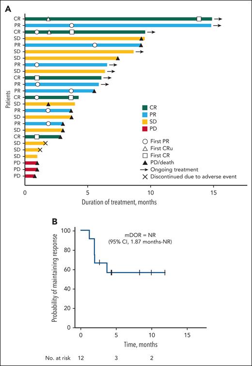 Treatment duration with clinical outcomes and DOR. (A) The swimmer plot summarizes treatment duration of individual patients and best response. Patients ongoing in the study are denoted by arrows. (B) The Kaplan-Meier plot depicts the DOR. Tick marks denote censored patients. mDOR, median duration of response in months; NR, not reached.