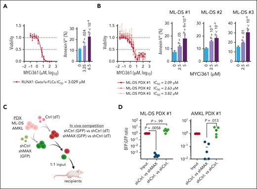 Interfering with MYC:MAX dimerization as a therapeutic strategy. Dose response curves for MYC:MAX dimerization inhibitor MYCi361 in Gata1s-FLC cells (A, left) and in ML-DS blasts derived from 3 patients (B, left) 24 hours after treatment in vitro. Corresponding IC50 values are depicted below the graphs. Bar graphs showing the percentage of annexin V+ cells after treatment with the indicated doses of MYCi361 compared with the dimethyl sulfoxide control in Gata1s-FLCs (A, right) and in ML-DS blasts (B, right); data represented as mean ± SD (n = 3, 1-way ANOVA). (C) Experimental setup for evaluating MAX dependence in ML-DS and AMKL cells in vivo. ML-DS or AMKL blasts derived from 2 patients were transduced with short hairpin MAX (shMAX) (GFP+) or short hairpin control (shCtrl) (GFP+) and mixed 1:1 with shCtrl-transduced blasts (dTomato+), before transplantation into sublethally irradiated recipient mice. (D) Ratio of GFP+ to dTomato+ cells in the bone marrow of mice euthanized 4 to 8 weeks after transplantation (n = 5, Kruskal-Wallis test).