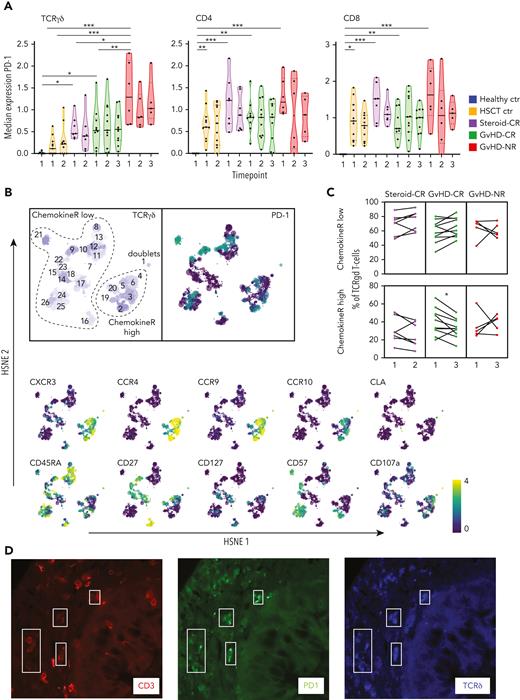 Antigen-exposed TCRγδ+ T cells are present in the blood and GI tract of patients with severe intestinal GVHD. (A) Violin plots depicting median PD-1 expression levels on TCRγδ+ cells and TCRαβ+ CD4 or CD8 expressing T cells at the indicated time points in the different patient groups. (B) Hierarchical stochastic neighbor embedding (HSNE) map showing distinct subclusters of TCRγδ+ T cells found at all time points in all patients. Note the overlap among CXCR3, CCR4, CCR9, and CCR10 expression in TCRγδ+ cells (chemokineRhigh). (C) Frequency of chemokineRhigh TCRγδ+ T cells at time points 1 and 3 in HSCT patients with steroid-refractory aGVHD responsive to MSC-based second-line therapy (GVHD-CR) and HSCT patients with steroid-refractory aGVHD nonresponsive to MSC-based second-line therapy (GVHD-NR) (before and after MSC infusion) and at time points 1 and 2 in HSCT patients with aGVHD responsive to steroids (Steroid-CR). (D) Detection of TCRγδ+ T cells in a GI tract biopsy sample obtained from a patient with ongoing aGVHD. A combination of antibodies staining PD-1 (green), TCRδ (blue), and CD3 (red) was used to visualize PD-1-expressing TCRγδ+ T cells (marked by white quadrants; original magnification, ×400). Healthy ctr, healthy control participants; HSCT ctr, patients who underwent HSCT without aGVHD. ∗P < .05; ∗∗P < .01; ∗∗∗P < .001.