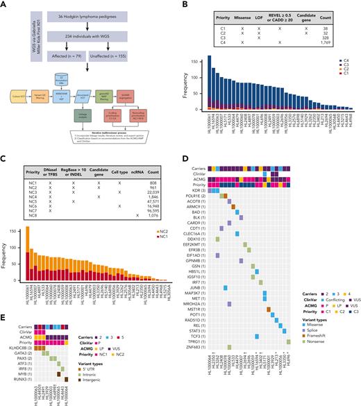 Families with putative germ line variants. (A) Study overview and prioritization schema. (B) Counts of coding variants according to prioritization category overall and per pedigree. (C) Heat map of coding variants showing the number of carriers across pedigrees, the ClinVar rating, the variant classification based on American College of Medical Genetics and Genomics (ACMG)/Association for Molecular Pathology (AMP) guidelines, and taking into account evidence of familial segregation and a possible predisposition to HL and the priority level based on our prioritization schema as described in Panel A. (D) Counts of noncoding variants according to prioritization category overall and per pedigree. (E) Heat map of noncoding variants showing recurrence across pedigrees. ncRNA, noncoding RNA; ∗pedigrees with early-onset; † the variant is within 1 logarithm of the odds (1-LOD) multipoint logarithm of the odds (MLOD) region.