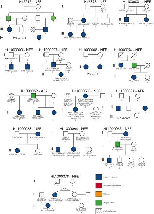 Pedigrees of families with a high frequency of HL. Pedigree representation of the 36 families included for analysis. Variants listed segregate with the disease phenotype and obligate carriers within each pedigree. HL16594: TCF3-p.E496K and HBS1L-p.I388V demonstrate potential codominant inheritance; HL213: RAD51D-p.G192D; HL533: ARMC9-p.K423Rfs∗29; HL696: TRPG1-p.Y61∗; HL2350: KDR-p.A1065T; HL2408: POLR1E-p. R149∗ and CDT1-c.1477+3_1477+24del† (limited support of alternative allele for father of proband); HL2491: KLHDC8B-c.-1108C>T and GATA3-intronic; HL2576: no variant; HL2696: EFR3B-p.Q285∗; HL2694: EEF2KMT-p.K177∗; HL3056: no variant; HL3262: KDR-p.A1065T, DDX10-p.K687∗, EIF1AD-c.88-4C>G; HL4479: BAD-p.K133Q, CLEC16A-p.R860C; HL3402: IRF7-p.W238∗; HL4450: KLHDC8B-c.1108C>T; HL4643: IRF8-intronic; HL3929: POT1-p.D224N and GATA3-intronic; HL4897: no variant; HL4968: no variant; HL5140: no variant; HL5171: MAP3K7-p.V428I and MET-p.P791L; HL5215: no variant; HL6898: PAX5-intronic(3)∗; HL1000001: MST1R-p.V233Cfs∗16; HL1000003: PAX5-intronic(3)∗; HL1000007: BLK-c.369-2A>G and GPNMB-c.367+2T>C; HL1000008: no variant; HL1000056: REL-p.H307R; HL1000059: GSN-p.W554∗ and IGSF10-p.S1099∗; HL1000060: ACOT8-c.488+1G>A, CARD9-c.184+1G>A, MROH2A-c.4452+1G>A, and ZNF683-p.R35∗; HL1000061: no variant; HL1000063: KLHDC8B-c.1108C>T; HL1000064: KDR-c.3849-2A>C and RUNX3-intergenic; HL1000065: ATF3-intronic and MYB-intergenic; and HL1000078: JUNB-p.P112S and POLR1E-p.L283Sfs∗9. WT, wild-type.