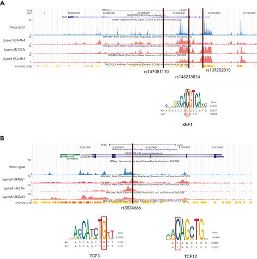 Recurrent noncoding variants. (A) The PAX5 intronic variant (rs147081110) overlaps an ENCODE DNase I hypersensitivity peak cluster along with an ENCODE 3 transcription factor chromatin immunoprecipitation sequencing cluster and has FIMO-predicted loss of XBP1 binding. (B) The GATA3 intronic variant (rs3824666) overlaps an ENCODE DNase I hypersensitivity peak cluster along with an ENCODE 3 transcription factor chromatin immunoprecipitation sequencing cluster and has FIMO-predicted loss of binding of TCF3 and TCF12.