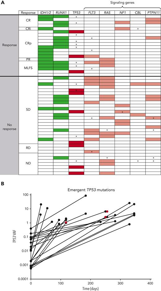 Mutational analysis describing (A) heat map of mutations and (B) outgrowth of TP53 mutations on study. In the heat map, detected mutations are indicated by shaded boxes. ∗Mutations that emerged on treatment and were detected at last BM aspirate sampling before therapy discontinuation. Green, favorable mutations; Red, unfavorable mutations (dark red, TP53; light red, RAS signaling mutations). The outgrowth graph indicates the VAF of TP53 mutations that emerged on therapy plotted over time. A total of 25 emergent TP53 mutations in 12 patients were noted on study. Most (22 of 25) emergent TP53 mutations were detectable at low levels in baseline samples either using duplex sequencing or by evaluating binary alignment map files provided by Foundation Medicine. Three were not detected at baseline (red). PR, partial response; ND, no data; RD, refractory disease; SD, stable disease.