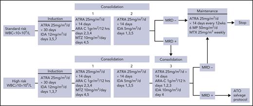 ICC-APL-01 study protocol design. 6-MP, 6-mercaptopurine; IDA, idarubicin; MTX, methotrexate; MTZ, mitoxantrone.