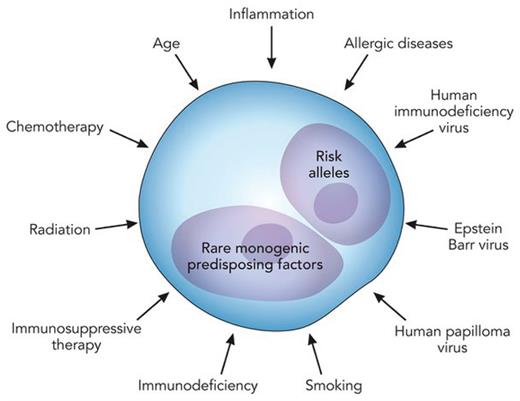Risk factors for Hodgkin lymphoma, including established extrinsic risk factors with postulated genetic intrinsic risk factors. Professional illustration by Patrick Lane, ScEYEnce Studios.