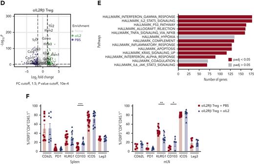 oIL-2 stimulation in oIL-2Rβ Tregs reveals upregulation of transcripts involved in activation and IL-2/STAT5 signaling during GVHD suppression. (A) Schematic representation of the workflow for the RNA-seq (created with BioRender.com). (B) PCA of transcriptome based on the top DEGs across oIL-2Rβ Tregs treated with oIL-2 (green) or PBS (blue) and tEGFR Tregs treated with oIL-2 (red). (C) Heatmap and hierarchical clustering of the differential expression from all the samples. Genes related with activation and Treg suppression are highlighted. Expression for each gene is scaled across single rows. (D) Volcano plots reveal significant and log2 fold change of transcripts from oIL-2Rβ Tregs treated with oIL-2 compared with PBS (left) or oIL-2 stimulation (right). Vertical dashed lines on volcano plots indicate a fold change of ±1.5; horizontal dashed line indicates an adjusted P = .05. (E) Gene set enrichment analysis of significant upregulated pathways (hallmark) shown in purple of oIL-2Rβ Tregs stimulated with oIL-2 compared with those stimulated with PBS. (F) The expression levels of different activator markers (CD62L, PD1, KLRG1, CD103, ICOS, and Lag3) on the FoxP3+ CD4+ GFP+ population were analyzed 7 days after allo-HSCT on cells in the spleen and mLNs. Pooled data from 3 independent experiments including 4 to 5 mice per group per each experiment. ∗P < .05; ∗∗P < .01; and ∗∗∗P < .001 between indicated groups. Student t test with Bonferroni correction for multiple comparisons was used for statistical analysis. FC, fold change; padj, adjusted P value.
