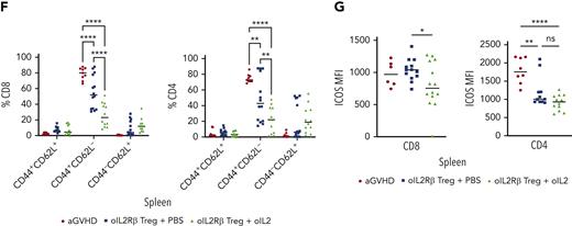 oIL-2Rβ Treg and oIL-2 system reduces donor T-cell expansion and activation in vivo. (A) In vivo BLI data of Tconsluc+ from representative animals at day 3 (left) and 6 (right) after transplantation. (B) Quantification of Tconsluc+ luminescence from each mouse (p/s) per group (n = 5). (C) Absolute number of donor (H-2kb) CD4+ and CD8+ CD45.2+ cells in lymphoid tissues and spleen following transplantation. RNA-seq analysis of CD8+ (D) and CD4+ (E) Tcons recovered at day 7 after HSCT from animals treated with the indicated oIL-2Rβ (untreated, black; PBS, blue; oIL-2, green; tEGFR Treg + oIL-2, red.). (D-E) PCA of the transcriptome based on the top 1000 DEGs across all samples. (F) Proportion among CD4+ and CD8+ of naïve (CD44−CD62L+), central memory (CD44+CD62L+), and effector memory T cells (CD44+CD62L−) in the spleen of animals without (aGVHD) and with oIL-2Rβ Tregs treated with PBS and oIL-2 after day 7 following allo-HSCT and treatment. (G) Mean ± SD of the MFI of ICOS in the CD4+CD45.2+ Tcons (left) and CD8+CD45.2+ Tcons (right) in the spleen. Pooled data from 3 independent experiments including 4 to 5 mice per group per each experiment. ∗P < .05; ∗∗P < .01; ∗∗∗P < .001; and ∗∗∗∗P < .001 between indicated groups. Student t test with Bonferroni correction for multiple comparisons was used for statistical analysis.