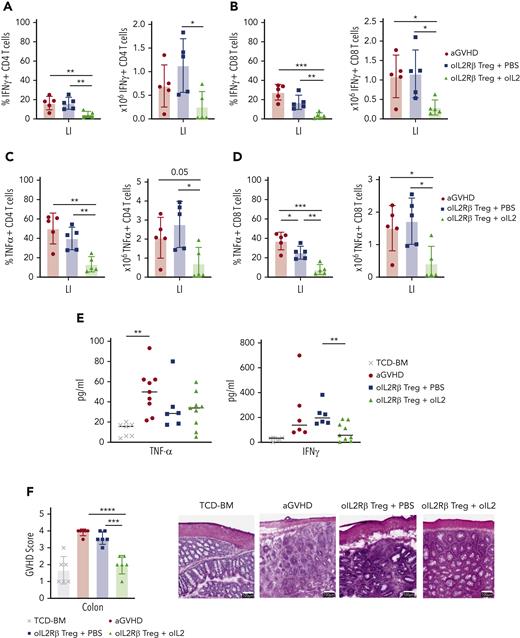 oIL-2Rβ Tregs home to the GIT and potently suppress activated Tcons. BALB/c mice underwent transplantation with C57BL/6 BM and Tcons to induce aGVHD (n = 5) and were treated with oIL-2Rβ Tregs with daily injections of either PBS (n = 5) or oIL-2 (n = 5). The large intestine was harvested on day 14 for flow cytometry analysis. Data are representative of 2 independent experiments. Frequency (left) and absolute number (right) of INFγ+ CD4+ (A) and CD8+ (B) T cells. Frequency (left) and absolute number (right) of TNFα+ CD4+ (C) and CD8+ (D) T cells. (E) Concentration of TNFα and INFγ+ in PB on day 14 after allo-HSCT. (F) aGVHD pathology scores of the large intestine (LI) on day 14 after allo-HSCT (left). Representative histological images of the colon at original magnification ×10 following hematoxylin and eosin staining (right). Student t test with Bonferroni correction for multiple comparisons was used for statistical analysis. Error bars indicate the SD of the mean. ∗P < .05; ∗∗P < .01; ∗∗∗P < .001; ∗∗∗∗P < .0001.