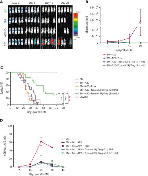 oIL-2Rβ Tregs maintain graft-versus-leukemia response. (A-C) Tumor growth and elimination (A-B) and survival (C) are shown for the BALB/c mice injected with A20luc/yfp+ (2 × 105) leukemia cells at the time of TCD BM transplantation with or without (purple) oIL-2Rβ Tregs and treated with oIL-2 (green) or PBS (blue). Tcon cells were administered 2 days after allo-BMT at a ratio of 5:1 (Tcon:Treg). (D) Frequency of enhanced GFP+ MLL-AF9 cells in the PB at various time points after allo-HSCT. Student t test with Bonferroni correction for multiple comparisons was used for statistical analysis. Log-rank test was used to analyze survival curves. Error bars indicate the SD of the mean. ∗P < .05; ∗∗P < .01; ∗∗∗P < .001; ∗∗∗∗P < .0001. Results are pooled from 4 independent experiments with a total of 5 mice per group (oIL-2, n = 20; PBS, n = 21). Survival curves were plotted using the Kaplan-Meier method and compared using a log-rank test. allo-BMT, allogeneic bone marrow transplantation.