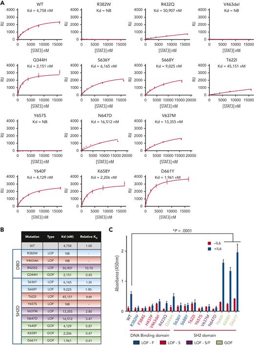Effect of mutations on STAT3 homodimer binding to DNA. (A) WT or mutant pY-STAT3 homodimers that were expressed and purified from bacteria were analyzed for binding to immobilized duplex hSIE DNA by SPR. Equilibrium RU values shown were calculated from sensograms shown in supplemental Figure 7 and plotted against STAT3 protein concentration. (B) KD values were determined by fitting the data to a 1-site equilibrium–binding model. The results shown are the mean of 6 experiments. Each KD value was divided by the WT result for that experiment to determine the relative KD value and the mean relative KD of the 6 experiments shown; the dash (−) indicates the relative KD could not be calculated. (C) Protein lysates of STAT3−/− MEF cells that expressed Ac-GFP1–tagged WT or mutant STAT3α and incubated without or with IL6/sIL6R were examined using the TransAM STAT3 DNA-binding assays. The mean ± SEM of 3 assays is shown (∗P < .0001; Student t test).