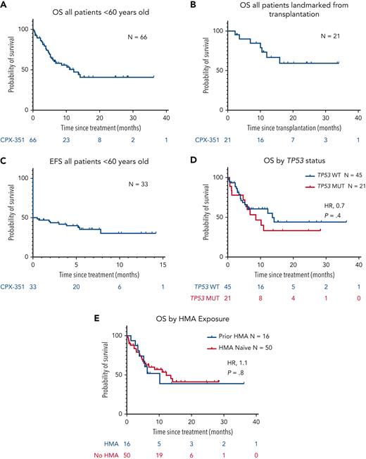 Kaplan-Meier estimates of median OS and EFS. (A) Median OS for all patients was found to be 12.2 months (range, 0.2-36.2 months). (B) Median OS landmarked from the date of transplantation was NR (range, 2.3-34.1 months). (C) Median EFS for all patients was NR (range, 0.5-14.2 months). (D) Median OS of patients with TP53wt vs TP53mut (13.6 vs 8.6 months). (E) Median OS of patients naïve to hypomethylating therapy (HMA) vs patients exposed to HMA (10.2 vs 12.2 months).