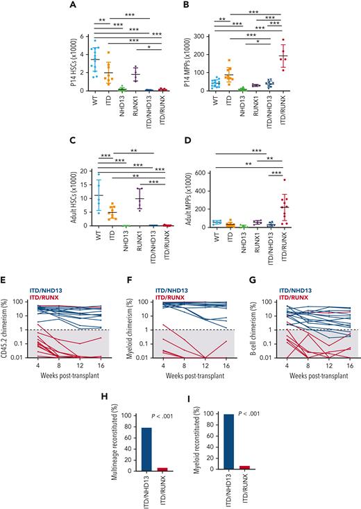 Flt3ITD/Runx1DELand Flt3ITD/NHD13 have distinct effects on MPP expansion and repopulating activity. (A-D) HSC and MPP numbers in 2 hindlimbs from P14 or 8-week-old adult mice of the indicated genotypes. n = 4 to 13, ∗P < .05, ∗∗P < .01, ∗∗∗P < .001 by one-way ANOVA with Holm-Sidak posthoc test. Error bars reflect the standard deviation. (E-G) Percentage of CD45.2+ leukocytes (E), CD11b+Gr1+ myeloid cells (F), or B220+ B cells (G) in recipient mice after the transplantation of 200 sorted MPPs of the indicated genotypes, along with 300 000 CD45.1 competitor cells. Each line tracks donor chimerism for an individual recipient. n = 13 to 14. (H-I) Percentage of recipients with multilineage (lymphoid + myeloid) or myeloid donor cell chimerism >1%, 16 weeks post-transplant for the indicated donor genotypes. P values are shown based on Fisher exact test. ANOVA, analysis of variance.