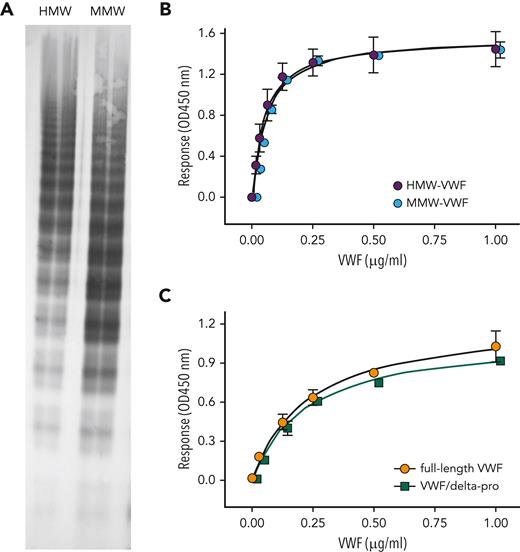 Binding of VWF with varying multimer size to KB-VWF-D3.1. (A) pdVWF concentrates were applied to gel-filtration chromatography using Bio-Gel-A-15m. Fractions enriched in HMW-multimers (HMW-VWF) and medium–molecular weight multimers (MMW-VWF) were analyzed for their multimeric pattern using SDS-agarose (2%) electrophoresis. (B) Binding of HMW-VWF (purple circles) and MMW-VWF (blue circles) to immobilized KB-VWF-D3.1 (5 μg/mL). (C) Binding of multimeric rVWF (orange circles) and the dimeric VWF/delta-pro variant (green squares) to immobilized KB-VWF-D3.1 (5 μg/mL). In both panels, bound VWF was probed using peroxidase-labeled polyclonal anti-VWF antibodies and detected via hydrolysis of 3,3',5,5'-tetramethylbenzidine. Data represent mean ± SD of 3 to 4 independent measurements. OD, optical density.