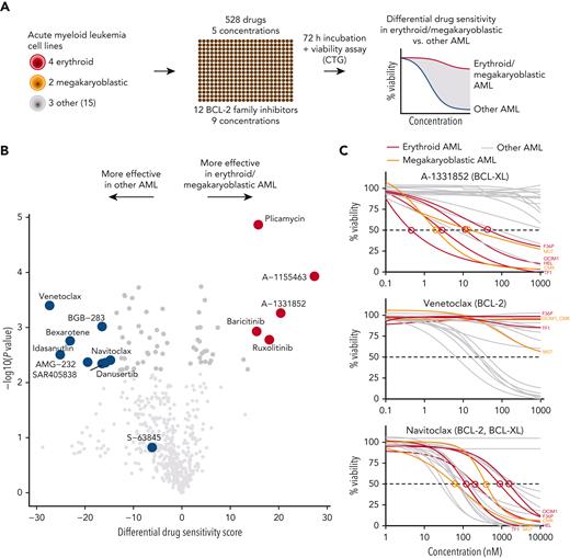 High-throughput screening identifies BCL-XL inhibitors with selective efficacy against erythroid and megakaryoblastic leukemias. (A) Schematic of the high-throughput drug sensitivity and resistance testing experiments. Four erythroid (F36P, HEL, OCIM1, and TF1), 2 megakaryoblastic (CMK and M07), and 3 other AML cell lines (MOLM13, MV411, and OCIAML2) were screened using over 500 drugs in 5 different concentrations. In addition, a focused screen using 8 BCL-2 family inhibitors in 9 different concentrations in 4 erythroid, 2 megakaryoblastic, and 15 other AML cell lines was performed. (B) Volcano plot of drug sensitivity of erythroid or megakaryoblastic AML cell lines (n = 6) compared with other AML (n = 3) from screening of 528 compounds. Drugs with FDR <5% are colored in dark gray and drugs with FDR <5% and absolute differential DSS >15 are colored in red or blue. In addition, S-63845 targeting MCL-1 is colored in blue. (C) Dose-response curves of the BCL-XL inhibitor A-1331852, the BCL-2 inhibitor venetoclax, and the BCL-2/BCL-XL inhibitor navitoclax in 21 AML cell lines. DSS, drug sensitivity score; FDR, false discovery rate.