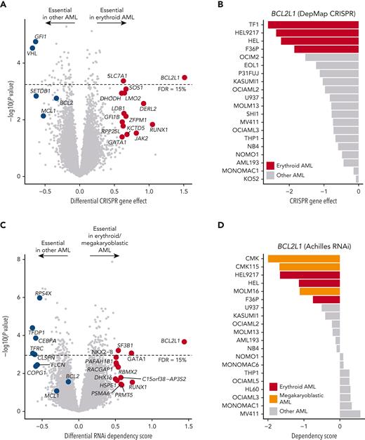 Genetic dependency on BCL2L1 in erythroid and megakaryoblastic leukemias. (A) Volcano plot of the most essential genes in erythroid compared with other AML cell lines in genome-scale CRISPR-Cas9 screening data from DepMap. Genes with a nominal P value < .05 and absolute values of differential gene effect >0.6 are colored in red or blue. In addition, the BCL-2 family members BCL2 and MCL1 are colored in blue. Fifteen percent FDR is indicated with a dashed line. (B) BCL2L1 CRISPR gene knockout effect in AML cell lines. More negative values indicate stronger dependency. (C) Volcano plot of most essential genes in erythroid/megakaryoblastic AML cell lines compared with other AML cell lines in RNAi screening data from the Achilles project. Genes with a nominal P value < .05 and absolute values of differential gene effect >0.5 are colored in red or blue. In addition, the BCL-2 family members BCL2 and MCL1 are colored in blue. Fifteen percent FDR is indicated with a dashed line. (D) BCL2L1 RNAi dependency score in AML cell lines. More negative values indicate stronger dependency. FDR, false discovery rate.
