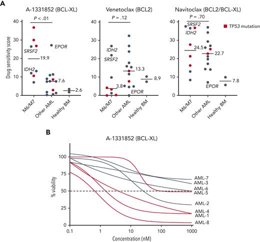Samples from patients with AML with erythroid or megakaryocytic differentiation are highly sensitive to BCL-XL inhibition ex vivo. (A) Ex vivo DSS of A-1331852, venetoclax, and navitoclax in samples from patients with AML (n = 21) and healthy BM samples (n = 2). AML cases with TP53 mutation are colored red. P values were calculated using a Wilcoxon rank-sum test. (B) Dose-response curves of samples with erythroid/megakaryoblastic features treated ex vivo with A-1331852. DSS, drug sensitivity score.