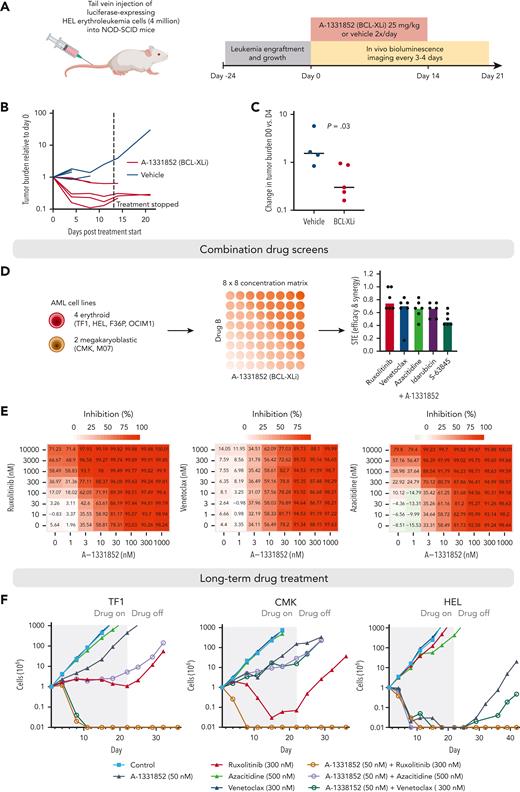 Efficacy of BCL-XL inhibition in a xenograft mouse model and in long-term combination treatments. (A) Schematic of the mouse xenograft experiment performed using HEL erythroleukemia cells. (B) Line graph showing tumor burden based on bioluminescence imaging for each mouse relative to start of treatment (day 0). Dashed line indicates stopping of the drug treatment. (C) Comparison of changes in tumor burden between BCL-XL inhibitor and vehicle treatment on day 4 of treatment relative to the start of treatment (day 0) based on bioluminescence imaging. P value was obtained using one-sided Wilcoxon rank-sum test. (D) Schematic of the drug combination screens and bar plot showing the synergy and efficacy score values of the combinations indicating combined efficacy and synergy in all cell lines ranked from highest to lowest on average. (E) Heatmaps of drug sensitivity in HEL erythroleukemia cells with the combinations of A-1331852 with ruxolitinib, venetoclax, and azacitidine across the tested concentration matrices. Percent inhibition values are indicated in the heatmaps. (F) Long-term drug treatment assays using TF1 (erythroid AML), CMK (megakaryocytic AML), and HEL-Luc (erythroid AML, used in mouse studies) cells. Gray-row shaded areas indicate duration of drug treatment.