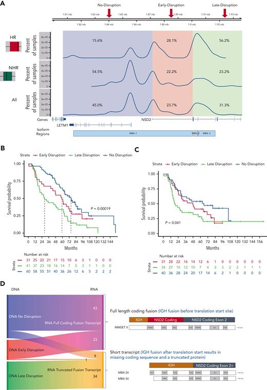 Translocation breakpoint location identifies HR t(4;14) patients. (A) Breakpoint locations form 3 peaks corresponding to regions relative to NSD2. The no-disruption region (blue) occurs upstream of the start of NSD2. The early-disruption region (red) is between the start of NSD2 and the translation start of NSD2. The late-disruption region (green) is the region downstream of the NSD2 translation start site. (B) Kaplan Meir plot showing the OS of patients based on their breakpoint location. (C) Independent replication cohort showing OS of patients based on breakpoint location. (D) Sankey plot showing the relationship between sample breakpoint location and identified fusion transcript.