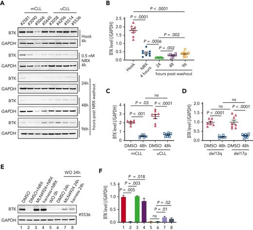 BTK degradation by NRX-0492 in CLL cells is sustained and equally achieved in high and standard-risk disease. (A) Immunoblots of CLL PBMCs that were treated with 0.5 nM hook or 0.5 nM NRX-0492 for 4 hours and then cultured for the indicated times after drug washout, with (B) quantification of BTK relative to loading control (GAPDH) over time. (C, D) Mean (± SEM) BTK levels in CLL PBMCs 48 hours after drug washout of vehicle (DMSO) or NRX-0492 with samples divided by (C) IGHV status into mutated CLL and unmutated CLL or (D) cytogenetic risk group, del13q (low risk), del17p (high risk). Comparisons over time by paired t test, comparisons between treatment subgroups by unpaired t test; ns, not significant. (E) Representative immunoblot showing BTK in CLL PBMCs treated as indicated: lane 1 DMSO only; lanes 2 to 4, cells were treated with DMSO, MLN4924, or harness for 1 hour followed by 2 nM NRX-0492 treatment for 4 hours. Lanes 5 to 8, cells were treated with NRX-0492 for 4 hours followed by drug washout (WO). 24 hours post washout, DMSO, MLN4924, or harness were added for an additional 24 hours. (F) Summary of experiments using cells from 3 different patients, statistics by paired t test.