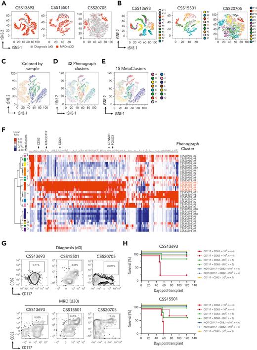 Coexpression of β-catenin, FOXO3, and CDK4 identify LIC-enriched CD117+CD82+cell subsets in MRD of human T-ALLs. (A) T-distributed stochastic neighbor embedding (tSNE) plots based on the scRNA-seq and AbSeq data from 3 primary T-ALL samples; CSS13693, CSS15501, and CSS20705, at the time of diagnosis (day 0) and 30 days after the start of therapy (MRD day 30) without passaging into immunocompromised mice. In the map, leukemia cells at days 0 and 30 are colored in grey and red, respectively. (B) tSNE plot as in panel A, but with each Phenograph cluster depicted in a different color. There was a total of 32 different phenotypic clusters identified by the Phenograph algorithm. The clusters with the highest expression of FOXO3, CTNNB1, and CDK4 transcripts are indicated in red. Dimensional reduction tSNE plots of scRNA-seq data with cells colored according to their assigned sample (C) or Phenograph cluster (D). (E) tSNE plot as in panel C, but with cells colored by their assigned meta-cluster (MC). The MC with the highest expression of FOXO3, CTNNB1, and CDK4 transcripts is indicated in red. (F) Expression heat map and hierarchical clustering of selected surface markers (GO:0016021) together with FOXO3, CTNNB1, and CDK4 genes, which resulted heterogeneously transcriptionally expressed in each of the 32 Phenograph clusters and hierarchically clustered into 15 MC groups. (G) Flow cytometry plots of CSS13693, CSS15501, and CSS20705 samples at the time of diagnosis (day 0) and MRD (day 30), showing the protein expression of CD117 and CD82 cell markers. Tumor cells were gated based on the expression of CD3, CD99, and CD7 surface markers and identified as CD3−CD99+CD7+ cells. (H) Survival of recipient NSG mice after transplantation with FACS-sorted CD117+CD82+, CD117+CD82−, CD117−CD82− or double negative plus single positive (NOT CD117+CD82+) subsets from CSS13693 and CSS15501 primary samples of MRD at day 30. The cell doses for each recipient animal are indicated in brackets. The calculated LIC frequency in CD117+CD82+ cells is 1 in 25 978 (95% CI, 1 in 7616-88 604) and 1 in 87 326 (95% CI, 1 in 27 516-277 145), in CD117+CD82− cells is 1 in 221 246 (95% CI, 1 in 55 495-882 056) and 1 in 498 332 (95% CI, 1 in 70 566-3 519 195) for CSS15501 and CSS13693 samples, respectively, and in NOT CD117+CD82+ and CD117−CD82− cells is >1 in 146 876 (95% CI, 1 in 66 888-3 277 606) for both leukemias.
