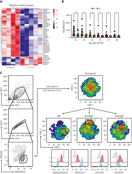 Metabolic repertoire higher expressed in 8-OHdGhiT cells. (A) Heat map shows differentially regulated metabolism-related genes as determined from the RNA seq analysis of 8-OHdGhi (n = 4) and 8-OHdGlo (n = 5) T cells. Only regulated genes with an adjusted P ≤ .1 together with a log2 fold change ≥0.585 or lesser than or equal to −0.585 were selected. The color scale represents the row-wise z score of gene expression. (B) Expression of the glycolytic pacemaker molecule HK2 based on its MFI is shown for 8-OHdGhi (n = 22) and 8-OHdGlo (n = 22) CD3+ T cells, as measured at different time points after allo-SCT, using FACS. (C) A t-SNE analysis of FACS data, based on CD4, CD8, CPT1α, and HK2 was performed on 17 000 CD3+CD56neg T cells gated as representatively shown (top). Events from HDs and patients who underwent 8-OHdGhi/lo allo-SCT acquired at all time points were plotted based on the calculated variables t-SNE 1 and t-SNE 2 and subsequently divided into the respective HD, 8-OHdGhi, and 8-OHdGlo groups (middle). Representative histograms of CD4, CD8, CPT1α, and HK2 are shown for selected areas that are characteristic for each individual group (bottom). P value: ∗P < .05; ∗∗P < .01; ∗∗∗P < .001. Bars represent the standard error of the mean. n, sample number; HK2, hexokinase-2.