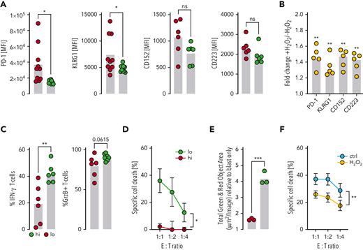 8-OHdGhiT cells are exhausted and functionally impaired. (A) Expression of exhaustion markers PD-1, KLRG1, CD152, and CD223 was semiquantified on 8-OHdGhi (n = 6-10) and 8-OHdGlo (n = 6-10) T cells using FACS based on the MFI. (B) HD-derived CD3+ T cells were activated for 72 hours with anti-CD2, anti-CD3, and anti-CD28 beads and treated twice per day with 10 μM H2O2. The MFI of PD-1, KLRG1, CD152, and CD223 was measured using FACS (n = 5). Data are expressed as the fold change of MFI in T cells pretreated with H2O2 relative to untreated T cells (+H2O2/−H2O2). (C) The percentages of IFN-γ (left) and GrzB (right) positive CD3+ T cells stimulated with anti-CD2, anti-CD3, and anti-CD28 beads for 72 hours were measured using FACS in 8-OHdGhi and 8-OHdGlo samples (n = 6). (D) 8-OHdGhi/lo PBMCs were coincubated with the host’s bone marrow–derived AML blasts from time point of initial diagnosis (n = 3). Coculture was performed in different E:T ratios. During coculture for 48 hours, T cells were stimulated with anti-CD2, anti-CD3, and anti-CD28 beads. Specific cell death of AML blasts was assessed using FACS. (E) Elimination of AML blasts, from time point of diagnosis, by reconstituting T cells (n = 3) was assessed by real-time imaging using an IncuCyte Zoom device. Cocultures were performed for 24 hours in a E:T ratio of 1:1 and in the presence of anti-CD2, anti-CD3, and anti-CD28 antibodies. (F) T cells with/without H2O2 pretreatment (n = 5) were cocultured for 24 hours with OCI-AML3 and MOLM-13 AML cell lines in different E:T ratios in presence of anti-CD2, anti-CD3, and anti-CD28 antibodies. Specific cell death was assessed using FACS. P value: ∗P < .05; ∗∗P < .01; ∗∗∗P < .001. “; bars represent the standard error of the mean. E:T, effector to target; n, sample number; PBMC, peripheral blood mononuclear cell.
