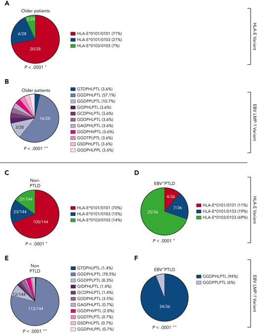Distribution of HLA-E and LMP-1 peptide variants in primary and reactivating EBV infections. (A-B) Distribution of HLA-E (A) and LMP-1 (B) variants in immunocompetent older patients with EBV reactivations (N = 28). (C-F) Distribution of HLA-E (C,D) and (E,F) LMP-1 (E,F) variants in immunosuppressed non-PTLD (N = 149) (C,E) and EBV+PTLD (N = 36) (D,F) transplant patients with EBV reactivations. (A,C,D) Fractions represent the relative frequency of HLA-E∗0101/0101, HLA-E∗0101/0103, and HLA-E∗0103/0103. (B,E,F) Fractions represent the relative frequency of the LMP-1 peptide GGDPHLPTL, GSDPHLPTL, GGDPHLPPL, GGDPPLPTL, GCDPHLPTL, GIDPHLPTL, GAGPHLPTL, GGDTPLPTL, GDDPHLPTL, GGDPHVPTL, and GTDPHLPTL variants. +The frequency of the HLA-E genotypes was compared with the control cohort by the χ2 test. ++The frequency of the LMP-1 variants was compared with the adolescent/adult cohort with IM by the χ2 test.