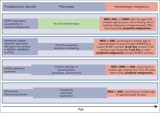 Germ line predisposition disorders analyzed in the review series in the current issue of Blood. The phenotype may be highly variable, even within the same family; in some subjects, it may be absent or very mild, going unnoticed. Of note, patients with DDX41-associated susceptibility to myeloid malignancies have no phenotype before the development of a hematologic malignancy, which typically occurs in the sixth and seventh decades of life; that is, at an age when sporadic hematologic malignancies (not associated with any predisposition disorder) occur.