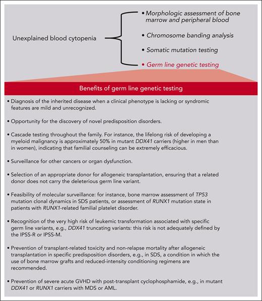 Schematic representation of the potential benefits of including germ line genetic testing in the diagnostic workup of patients with unexplained blood cytopenia, the essential diagnostic criterion for MDS.