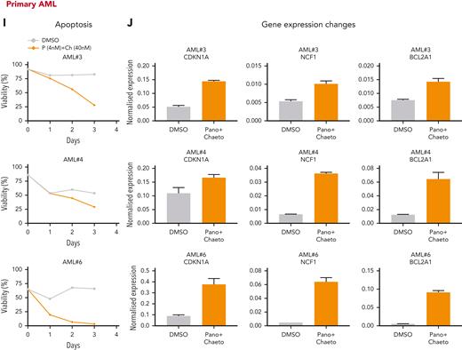 NuRD and HP1γ inactivation phenocopy H9SB at the functional and transcriptional level. (A) Growth kinetics of MOLM13 cells treated with panobinostat (Pano; 4 nM), chaetocin (Ch) (40 nM) alone, or in combination. The data are shown as the averages of biological replicates (n = 3) ± SD. Two-way ANOVA test, ∗P < .01 comparing NT vs treatments at 72 hours. (B) The bar graph shows the differentiation measured with CD11b-CD15 surface expression in MOLM13 cells after treatment with Pano (4 nM), Ch (40 nM) alone, or their combination, over the time course. Data shown are the averages of 3 biological replicates ± SD. Two-way ANOVA test, ∗P < .001. (C) The histogram shows flow cytometric analyses of annexin V–positive MOLM13 cells 72 hours after treatment with Pano (4 nM), Ch (40 nM) alone, or their combination. Representative plots of 3 independent biological replicates are shown. (D) qRT-PCR expression levels of selected target genes in MOLM13 cells treated with drugs alone or in combination for 48 hours. The data shown are representative of 3 independent biological replicates. (E) Growth kinetics of OCIAML3 cells treated with Pano (4 nM), Ch (40 nM) alone, or their combination. Fifty thousand cells were seeded followed by daily counting. The data are shown as the averages of 3 biological replicates ± SD. Statistical significance calculated using the 2-way ANOVA test, ∗P < .01. (F) The bar graph shows differentiation measured by CD11b-CD15 surface expression in OCIAML3 cells after treatment with Pano (4 nM), Ch (40 nM) alone, or their combination, for the time course. Data shown are the averages of 3 biological replicates ± SD. Statistical significance calculated using the 2-way ANOVA test, ∗∗P < .001. (G) The histogram shows flow cytometric analyses of annexin V–positive OCIAML3 cells 72 hours after treatment with Pano (4 nM), Ch (40 nM) alone, or their combination. Representative plots of 3 independent biological replicates are shown. (H) qRT-PCR expression levels of selected target genes in OCIAML3 cells treated with drugs alone or in combination for 48 hours. The data shown here are representative of 3 independent biological replicates. (I) Percent viability determined via annexin V/7AAD staining in primary AML cells after treatment with a combination of Pano (4 nM) + Ch (40 nM) or dimethyl sulfoxide (DMSO). (J) qRT-PCR expression levels of selected target genes in primary AML cells treated with drugs in combination or DMSO for 48 hours. The data shown here are the averages of triplicates of quantitative PCR values.