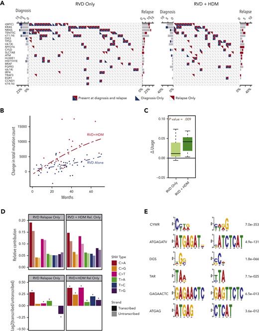 Driver events and mutational locations. (A) Frequency of driver mutations and translocations (y-axis) are shown for RVD-alone (left) and RVD + HDM (right) arms. Each column shows 1 patient; blue and red triangles show mutations detected at diagnosis and relapse, respectively. (B) Change in total mutational load from diagnosis to relapse (y-axis). Red triangles (patients treated with RVD + HDM) and blue points (patients treated with RVD alone) show the total mutational load difference between diagnosis and relapse for each patient. Polynomial regression curves are shown for the 2 arms over time (x-axis). (C) Change in genomic region use (y-axis) for mutations overlapping with RNAs for RVD-alone and RVD + HDM arms (left to right). (D) Transcription strand bias analysis. Relative contribution (y-axis, top) for 6 possible SNV types (color coded) for relapse-only mutations are shown. Contributions from mutations overlapping with transcribed strand are shown in darker colors, and transcribed strand shown in lighter colors. log2 ratio of transcribed/untranscribed strands are shown (bottom) with statistically significant differences marked with an asterisk (∗). (E) De novo motifs identified 12 bp upstream and downstream of SNVs. Consensus motifs (left) and significance values (right) are shown.