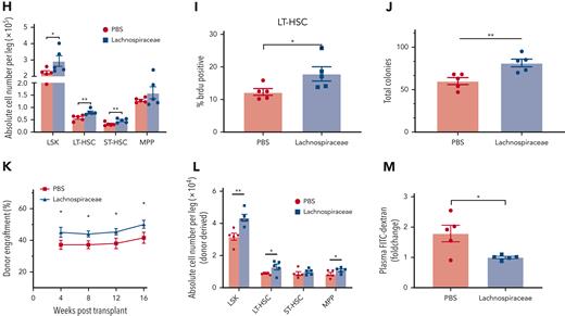FMT effectively modulated the gut microbiome in the recipient aged mice. (A) α-diversity (Chao1 index and Shannon index) of bacterial communities in antibiotics-treated, aged, FMT-AA, FMT-YA, and young mice (n = 6 per group). (B-C) Principal component analysis (PCA) plot and UniFrac distance of microbial composition (n = 6 per group). (D) Average relative abundance of prevalent microbiota at the phylum level among the 5 groups. (E) Average relative abundance of prevalent microbiota at the genus level among the 5 groups (n = 6 per group). (F) Bar graph showing the differential microbiota between FMT-AA and FMT-YA mice at the gene level (n = 6 per group). (G) The flowchart of microbiota interventions. Specific pathogen-free (SPF) aged mice were given phosphate-buffered saline (PBS), Lachnospiraceae, or Clostridium by gavage for 4 weeks, after treatment with antibiotics for 3 days. Then, colony-forming unit (CFU) assay and transplantation assay were performed to assess the cellular function of purified LT-HSCs. (H) Absolute numbers of HSPCs in BM in PBS group vs Lachnospiraceae group (n = 5 per group). (I) BrdU incorporation in LT-HSCs (n = 5 per group). (J) Number of total colonies measured for LT-HSCs in methylcellulose (n = 5 per group). (K) Donor-derived CD45.2+ reconstitution in CD45.1+ mice at 16 weeks after HSC transplantation (n = 5 per group). (L) Absolute cell number of donor-derived HSPCs in BM from recipient mice in HSC transplantation assay (n = 5 per group). (M) Intestinal permeability measured by FITC-dextran in blood (n = 5 per group). Graphs show mean ± SEM, with statistical significance determined by Student t test. ∗P < .05, ∗∗P < .01.