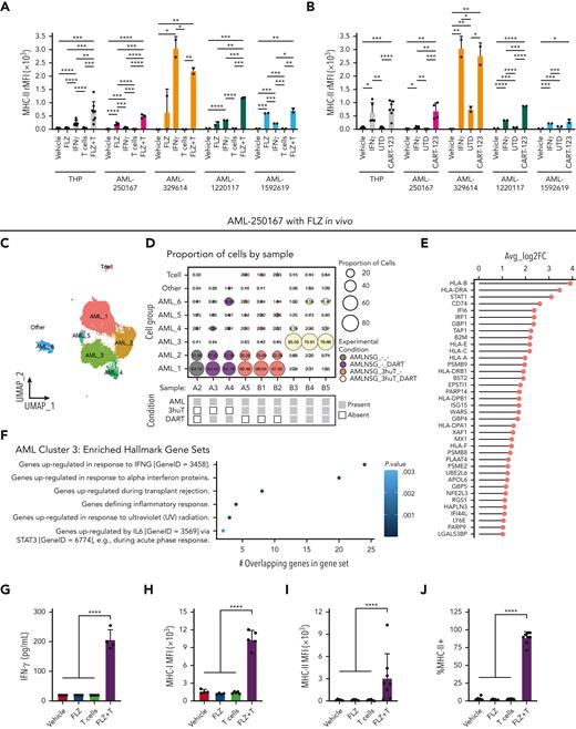 AML-directed T-cell immunotherapies upregulate MHC-II expression on human AML cell lines and primary human AML cells in vitro and in vivo. (A) Human THP-1 and primary AML cells from patient 250167, 329614, 1220117, or 1592619 were treated with vehicle (PBS), 10 ng/mL FLZ, 50 ng/mL IFN-γ, human HLA-mismatched CD3+ T cells (E:T of 1:1), or FLZ and human T cells (FLZ + T) for 48 hours. Twenty-five thousand AML cells were plated per well. MHC-II relative median fluorescence intensity (rMFI; A) on the THP-1 and AML cells was measured via multiparametric flow cytometry. (B) THP-1, AML-250167, AML-329614, 1220117, or 1592619 cells were treated with vehicle (PBS), 50 ng/mL IFN-γ, human UTD T cells (UTD; E:T of 0.1:1), or human T cells expressing a CAR targeting CD123 (CART-123; E:T of 0.1:1) for 48 hours. MHC-II rMFI was measured by flow cytometry. (C-J) NSG-S mice were sublethally irradiated with 250 rads and injected with 106 human AML-250167 cells per mouse. After 5.5 weeks, mice were treated with vehicle (PBS), 2 mg/kg FLZ, 1 × 107 human HLA-mismatched CD3+ T cells, or FLZ (1 hour after T-cell injection) and human T cells (FLZ + T) for 48 hours. (C) A Uniform Manifold Approximation and Projection for Dimension Reduction (UMAP) plot depicts scRNA-seq data from 34 793 high-quality human AML and T cells harvested from the bone marrow. (D) Proportions of cells (size of circle) for each single cell cluster were broken down by treatment group. (E) Differentially expressed genes (DEG) in AML_3 cluster relative to all other AML clusters. (F) MSigDB hallmark gene sets enriched from AML_3 DEGs. (G) Plasma levels of IFN-γ. (H-J) MHC-I (H) and MHC-II (I) MFI and the percentage of MHC-II positive (J) human AML cells in the bone marrows of NSG-S mice were determined by flow cytometry. Bars represents means and error bars represent standard errors above and below (when applicable) the mean. P values were calculated using an unpaired, 2-sided Student t test. ∗P < .05; ∗∗P < .001; ∗∗∗P < .0001; ∗∗∗∗P < .00001.