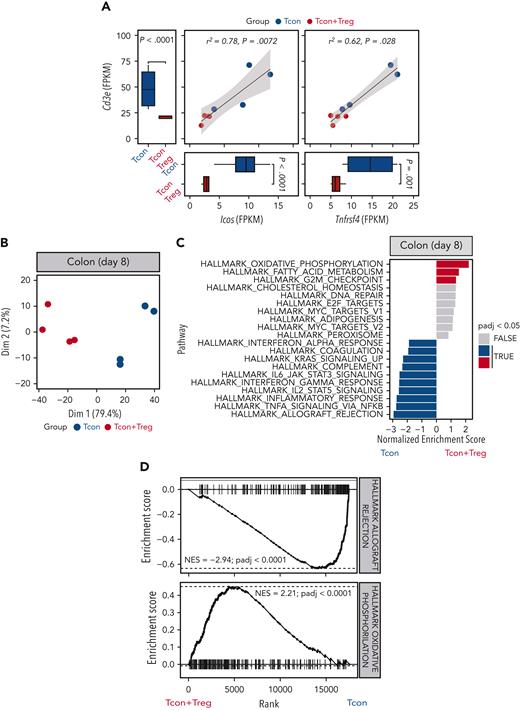 Tregs modulated colon T-cell infiltration and gene expression. (A) Scatter plots and marginal bar plots correlating and comparing the transcript expression of Cd3e, Icos, and Tnfrsf4 in the colon from mice receiving Tcons alone (blue dots and bars) or Tcons and Tregs (red dots and bars). Differences between groups were assessed using DESeq2. Correlations were evaluated using a Spearman rank correlation coefficient test. (B) PC analysis of transcriptome based on the top 1000 differentially expressed genes across colon tissues isolated at day 8 from mice receiving Tcons alone (blue dots) or Tcons and Tregs (red dots). (C) Top 10 enriched terms/pathways in colon Tcons from mice receiving Tcons and Tregs (positive NES, red bars indicate the significant pathways) or Tcons alone (negative NES, blue bars indicate the significant pathways) revealed by hallmark GSEA. (D) Enrichment plots displaying enrichment scores for the genes involved in allograft rejection (HALLMARK_ALLOGRAFT_REJECTION) and OXPHOS (HALLMARK_OXIDATIVE_PHOSPHORILATION) from colon tissues recovered at day 8 after HCT in the presence or absence of Tregs.