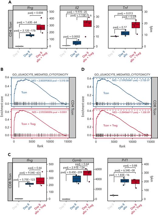 Tregs did not inhibit the upregulation of gene sets involved in the GVT effect. (A) Transcript expression of effector molecules (Ifng, Il2, Tnf) in CD4 Tcons. (B) Enrichment plots displaying enrichment scores for the genes involved in leukocyte cytotoxicity (GO_LEUKOCYTE_MEDIATED_CYTOTOXICITY) from CD4 Tcons recovered at day 8 after HCT in the presence or absence of Tregs. (C) Transcript expression of effector molecules (Ifng, Gzmb, Prf1) in CD8 Tcons. (D) Enrichment plots displaying enrichment scores for the genes involved in leukocyte cytotoxicity (GO_LEUKOCYTE_MEDIATED_CYTOTOXICITY) from CD8 Tcons recovered at day 8 after HCT in the presence or absence of Tregs. Gene signatures were obtained from MSigDB.