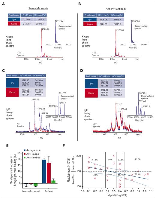 M-protein and monoclonal anti-PF4/polyanion antibody light and heavy chains have identical mass spectrometry profiles. (A) Displayed are LC-ESI-QTOF MS light chain (LC) +11 (m/z) distributions of serum proteins and (B) anti-PF4/polyanion antibodies isolated from the patient’s serum using PF4-treated heparin Sepharose beads, as described. In the spectra, red represents the +11 m/z distribution of all κ containing immunoglobulins, and blue represents the +11 m/z LC distribution of κ chains associated with an IgG heavy chain (HC). The number above each peak indicates the identified chain’s +11 m/z ratio. The x-axis depicts m/z ratios, and the height of the peak shows the identified antibodies’ relative abundance. Each subpanel contains an inset depicting the deconvoluted spectra with the molecular mass of the identified immunoglobulin LC and a table summarizing the major LC m/z values and deconvoluted masses. Similar to (A) and (B), (C) and (D) display the +37 m/z HC distribution and deconvoluted spectra for the immunoglobulin γ (G) HC spectra from MGTS patient serum and anti-PF4 antibody enriched eluate, respectively. The various peaks in (C) and (D) depict differentially glycosylated forms of the HC immunoglobulin. (E) PF4-dependent binding of patient IgG HC (γ) and κ/λ LCs to normal donor platelets were evaluated. Mean and 1 SD of triplicate measurements are presented. (F) Platelet counts (y-axis) were correlated with M-protein levels (x-axis). M-protein intervals were qualitatively grouped into 4 intervals and the percentage of normal (≥150 × 109/L) and low (<150 × 109/L) platelet counts are displayed for each interval. M-protein and platelet count represented by each data point were obtained on the same day of testing, except on 2 occasions when they were drawn within 48 hours of each other.