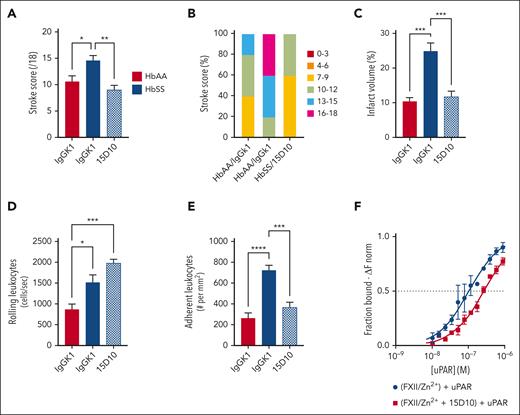 FXII inhibition attenuates stroke severity in HbSS mice after tMCAO. Quantification of (A) stroke score, (B) proportion of stroke severity, (C) and brain infarct in HbAA and HbSS mice subjected to brain ischemia/reperfusion injury after treatment with IgG or 15D10 antibodies (10 mg/kg, IV). Intravital microscopy analysis was performed to assess the number of (D) rolling and (E) adherent leukocytes. Data represent mean ± SEM; n = 6 mice per group. ∗P < .05, ∗∗P < .01, ∗∗∗P < .001 by one-way ANOVA and Tukey post-hoc test. (F) Microscale thermophoresis was performed to measure direct binding between uPAR and FXII, in the absence (blue line) or presence (red line) of 15D10. Recombinant His-tagged murine FXII was fluorescently labeled with RED-tris-nitrilotriacetic acid and subsequently incubated with 15 μM Zn2+ and serially diluted murine uPAR. Where indicated, 1 μM of 15D10 was added to the reaction mixture. Initial fluorescence intensity of RED-FXII was used to normalize fluorescence changes (ΔFnorm representing the bound fraction). Binding constants (Kd) over time were determined for FXII-uPAR based on triplicate measurements of n = 3 individual experiments. ANOVA, analysis of variance.
