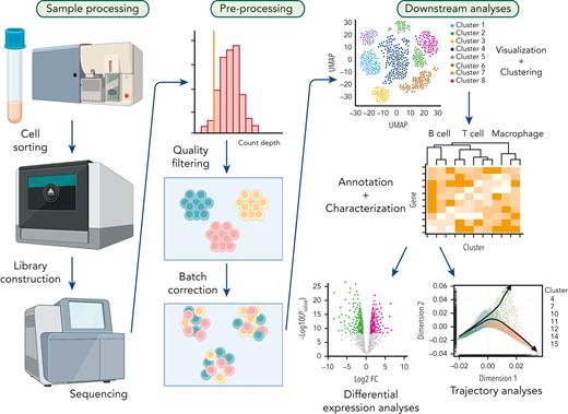 Typical workflow for single-cell analysis. Target cell populations are purified from patient samples and constructed libraries from sorted cell populations are sequenced. Next, raw data is preprocessed to remove poor quality cells followed by normalization. Subsequently, batch correction is performed to remove technical variations due to multiple experiments. Finally, data are visualized by dimensionality reduction methods, and further downstream analyses are performed including differential expression analysis, cell-to-cell communication prediction and trajectory analysis.