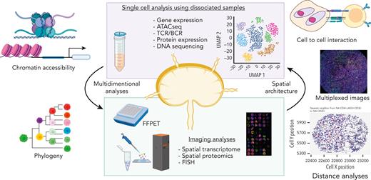 Overview of single-cell and tissue architecture analyses. Two major specimen types are depicted to which single-cell technologies can be applied: (1) liquid biopsies (eg, blood) and disaggregated cell suspensions and (2) histologically intact tissues such as FFPET allowing for single-cell measurements in a spatial context. These 2 approaches work synergistically.