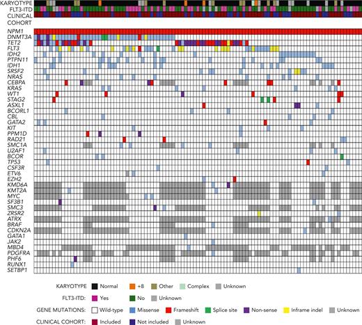 Myeloid gene comutations in t-NPM1 AML. 107 cases of t-NPM1 AML (columns) were subjected to targeted sequencing of genes recurrently mutated in myeloid neoplasms, which are shown in rows when mutated in at least 1 case. Above the gene mutation grid, each case is also annotated with karyotype, FLT3-ITD status as assessed by fragment length analysis, and inclusion in the clinical cohort. Color-coded figure keys are shown below the grid (regarding karyotype, cases denoted with “other” have chromosomal abnormalities other than those listed in Table 2).