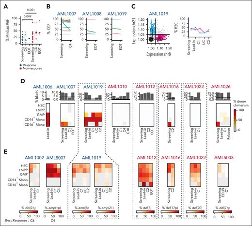 Longitudinal tracking of malignant cell clones reveals insufficient clearing from progenitor cell populations. (A) Median variant allele frequency of recurrent somatic mutations in bone marrow aspirates of responders (blue) and NR (red) at screening, after 4 cycles of decitabine and ipilimumab (C4) and at end of treatment. Statistical testing using Wilcoxon rank-sum test. (B) Cancer cell fractions calculated from whole exome sequencing of bone marrow aspirates at screening and C4 in AML1007, AML1008 and AML1019 (all responders). (C) Identification of 2 distinct AML subclones defined by amp(8) in pink and amp(21) in cyan using inferCNV. Longitudinal tracking of both clones within the HSC-like compartment (right). (D) Longitudinal tracking of donor chimerism across myeloid cell subsets of responders (blue) and NRs (red). Disease burden (% blasts) obtained from routine clinical diagnostics with 5% mark indicated by horizontal bar. Grey indicates no data available. (E) Longitudinal detection of copy number changes across myeloid subsets. Grey indicates no data available or too few cells to perform analysis of copy number changes.