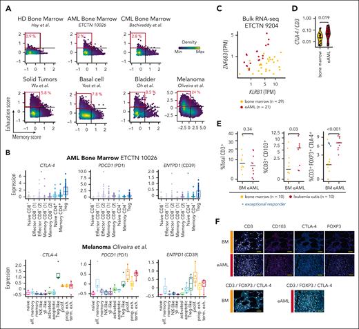 Comparative analysis of T-cell exhaustion in hematologic and solid malignancies. (A) T-cell exhaustion and memory scores calculated for CD8+ T cells from healthy bone marrow, AML and chronic myeloid leukemia bone marrow and different solid tumors including basal cell carcinoma, bladder cancer and metastatic melanoma. (B) Expression of CTLA-4, PDCD1 (encoding PD-1) and ENTPD1 (encoding CD39) across T-cell subsets in AML bone marrow (top, n = 18 patients) and in metastatic melanoma (bottom, n = 4 patients; Oliveira et al36). (C) Bulk RNA sequencing (RNA-seq) expression of ZNF683 and KLRB1 across 29 AML/MDS bone marrow biopsies with disease involvement and 21 extramedullary AML (eAML) biopsies from patients with sole extramedullary relapse. (D) Ratio of CTLA-4 and KLRB1 to CD3 expression obtained from bulk RNA-seq data across AML/MDS and eAML. Statistical testing using 2-sided t-test. (E) Percentage of CD3+ T-cell infiltrate (left), CD103+ T cells (middle) and FOXP3+ CTLA-4+ T cells (right) compared between bone marrow (BM; n = 10) and leukemia cutis (eAML; n = 10) before treatment. The exceptional responder with ongoing complete remission >3 years after treatment with decitabine and ipilimumab is indicated by the blue arrow. Statistical testing with 2-sided t-test. Medians are indicated for each group by the horizontal bar. (F) Representative single stains of CD3 (white), CD103 (red), CTLA-4 (cyan) and FOXP3 (yellow) for bone marrow (BM) and leukemia cutis (eAML) (top). Integrated staining of CD3, FOXP3 and CTLA-4 is shown for BM and eAML (bottom). The images were captured with 20× optical magnification and 250% zoom. Yellow bars indicate a distance of 50 μm.