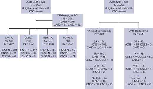 CONSORT diagram. EOI, end of induction; Nel, nelarabine.
