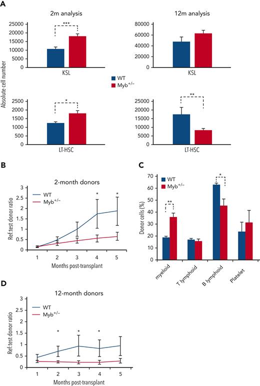 Myb-deficient HSCs are compromised in their function. (A) Bone marrow absolute counts of KSL and LT-HSC (KSLCD48-CD150+) from 2- (n = 8) and 12-month-old (n = 8) WT and Myb+/− mice. KSL2mP = .0009, KSL12mP = .053, LT-HSC2mP = .013, LT-HSC12mP = .005. (B and D) Sorted KSL cells from 2- (n = 9) and 12-month-old (n = 9) WT or Myb+/− donors (carrying vWF-tdTomato transgene) plus reference bone marrow were transplanted into lethally irradiated recipients (900 Gy). Reference:donor cell ratios were calculated using flow cytometry. P2m = 0.040, 0.038 and P12m = 0.030, 0.006, 0.055. (C) Analysis of donor cell percentage in the periphery of recipient mice (n = 3) 4 months after transplant receiving 2-month-old KSL. Antibody staining gated on CD45.2 donor cells: myeloid (CD11b+), T-lymphoid (CD4+CD8a+), B-lymphoid (B220+), and platelet (vWF+). Myeloid P = .001, B-lymphoid P = .011.