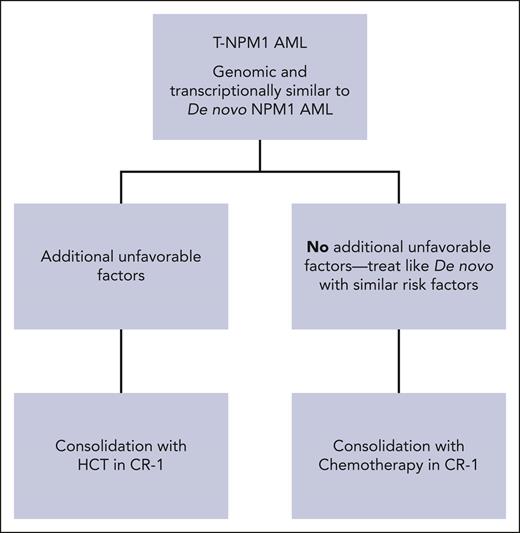 Proposed scheme for alloHCT in CR1 for t-NPM1 AML.